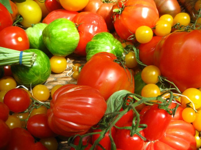 Tomatoes