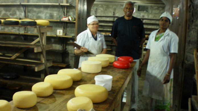 cheese