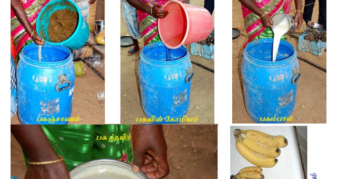 பஞ்சகவ்யம்
