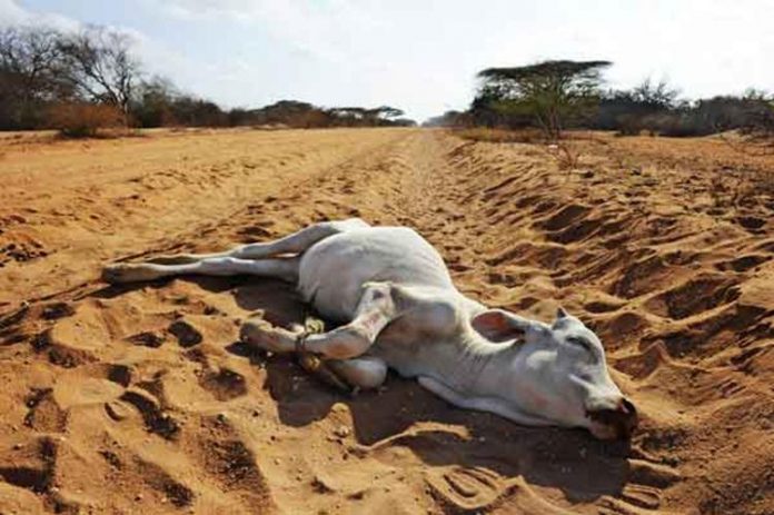 4.drought