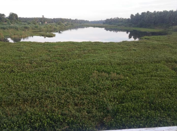 தென்பெண்ணை ஆறு