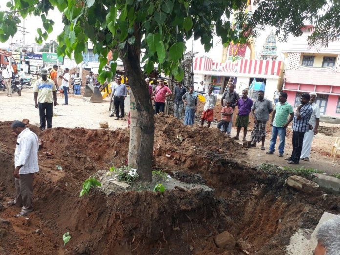 திண்டி மா வனம்