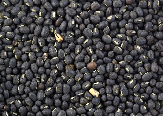 Black-gram